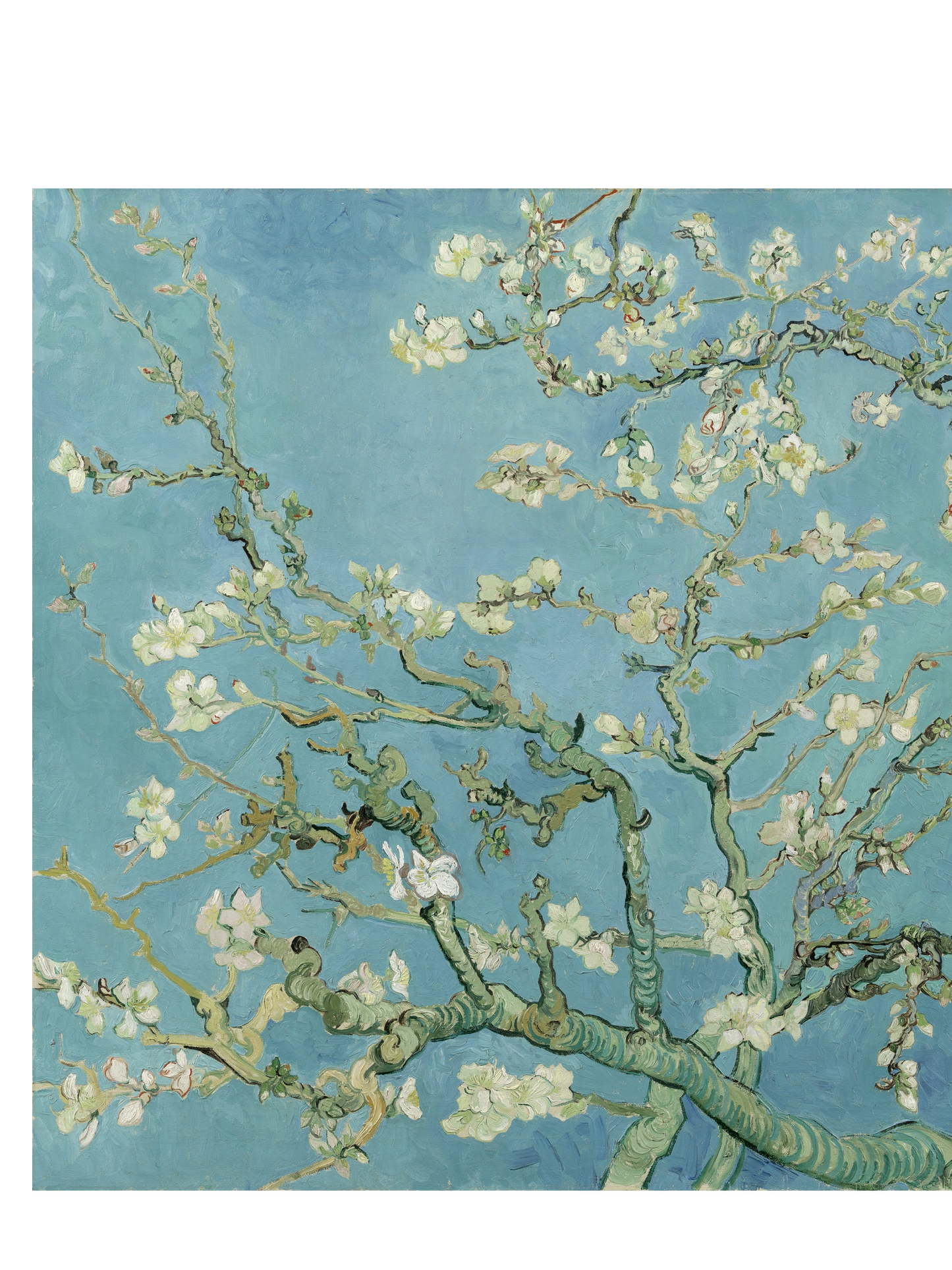 Almond-Blossoms-Cotton-Art-Tee-For-Women