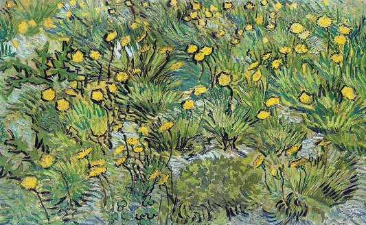 A Field of Yellow Flowers, 1889