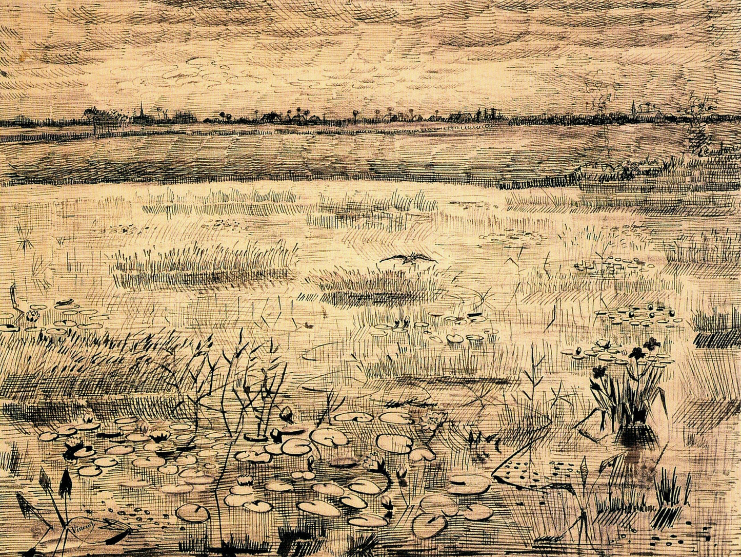 A Marsh with Water Lillies, 1881
