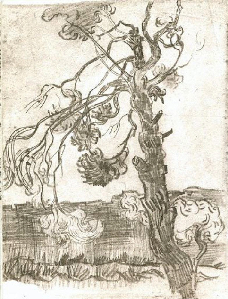 A Weather-Beaten Pine Tree, 1889