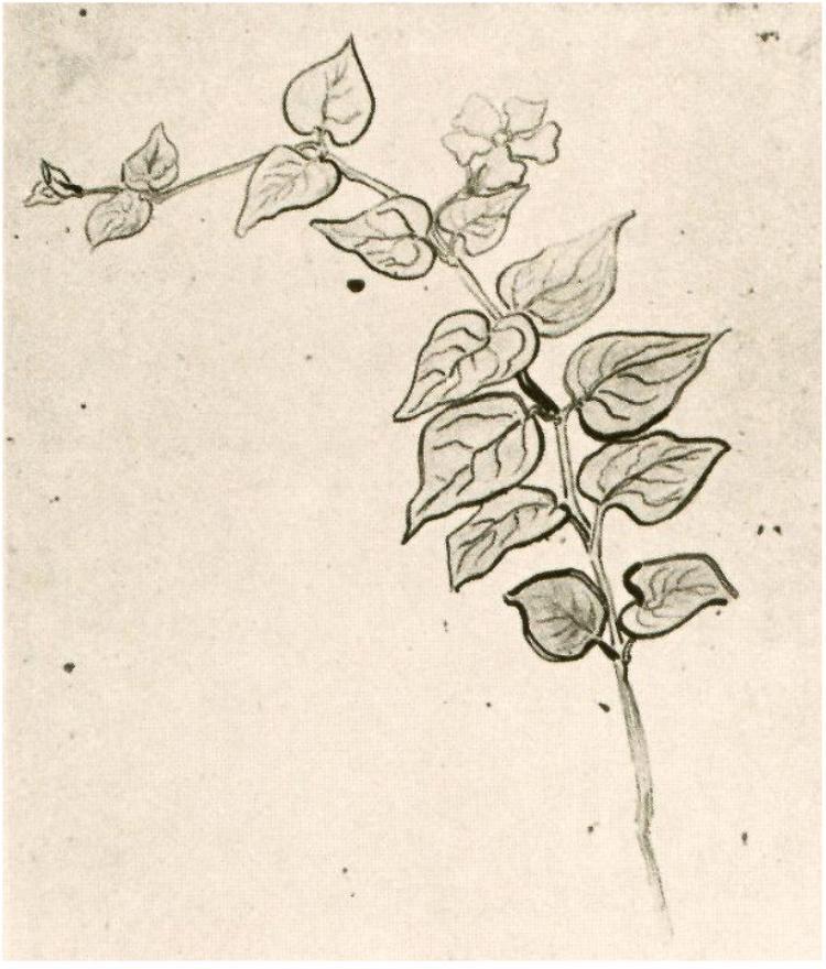 Branch with Leaves, 1890