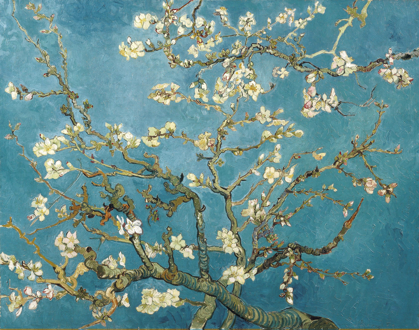 Branches with Almond Blossom, 1890