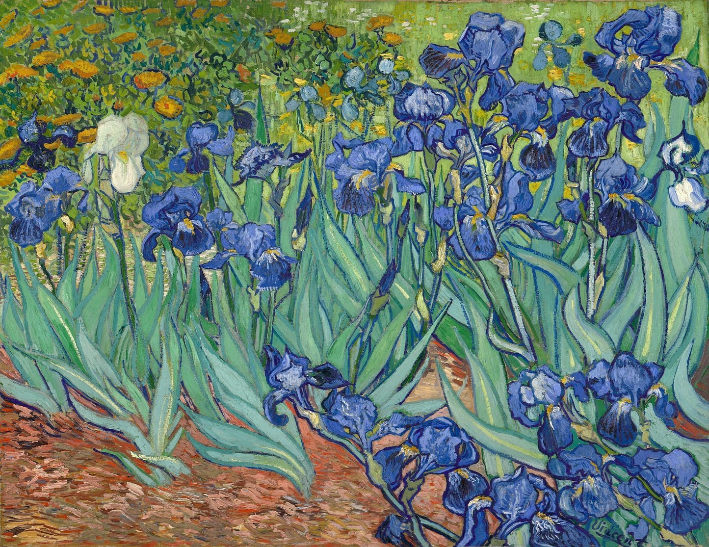 Irises, 1889