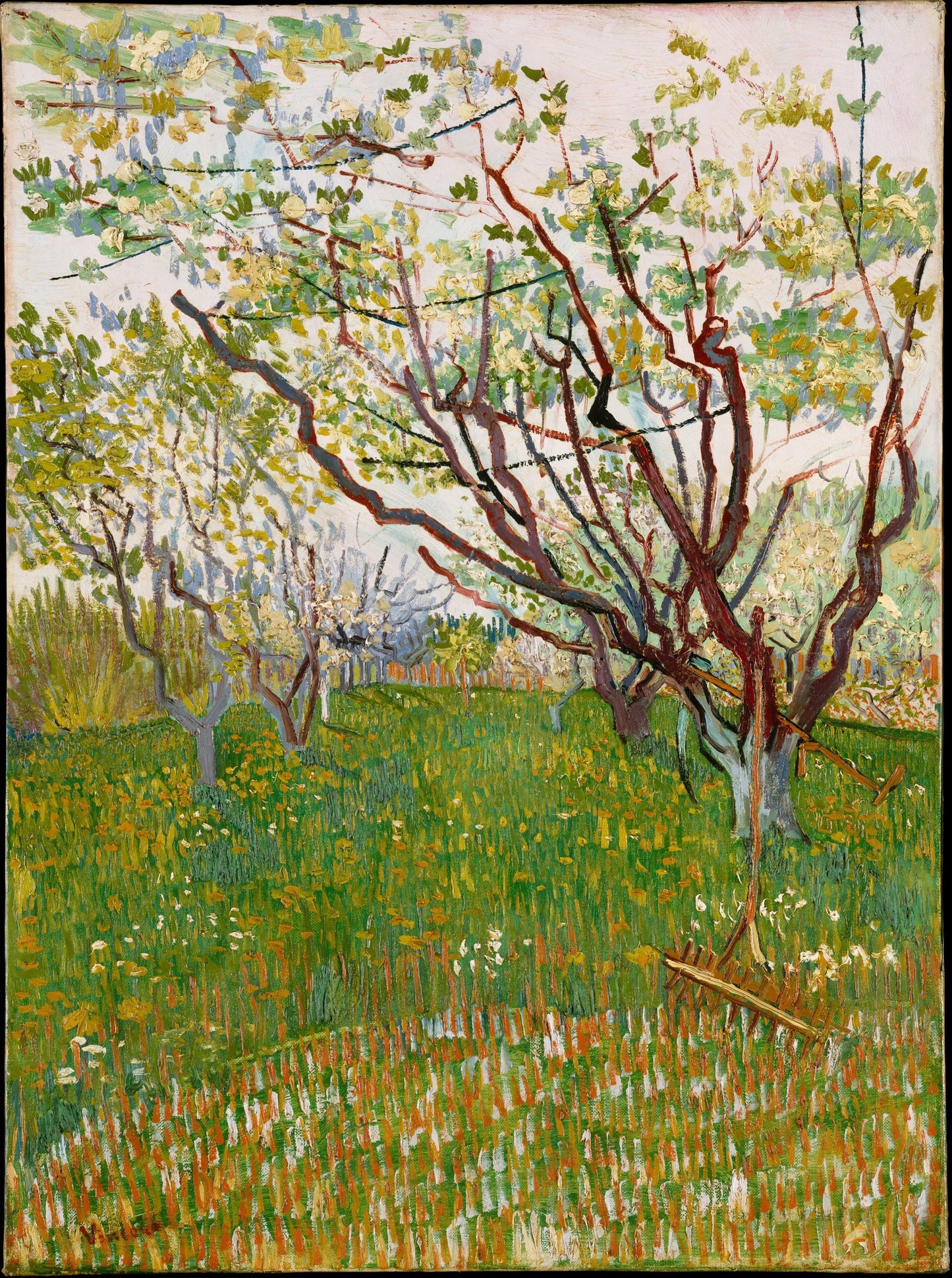 Orchard in Bloom, 1888