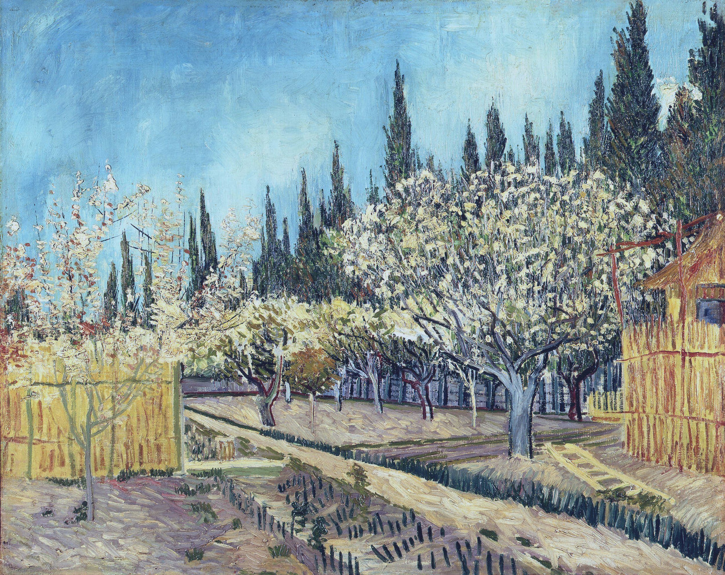 Orchard in Blossom, Bordered by Cypresses, 1888 01
