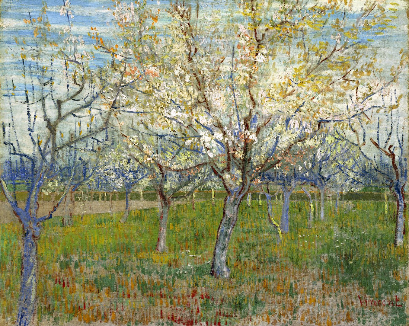 Orchard with Blossoming Apricot Trees, 1888