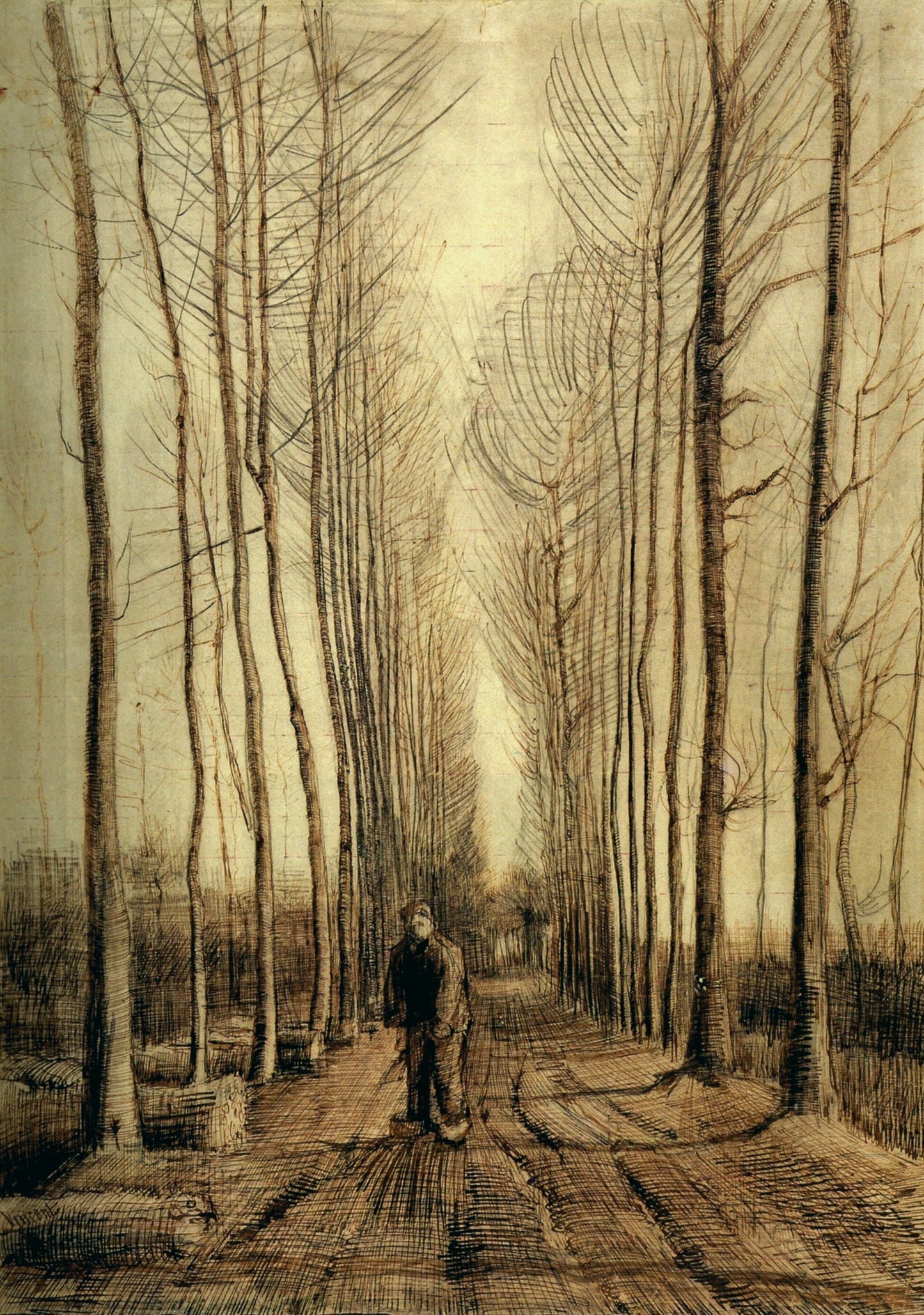 Poplar Trees, 1884