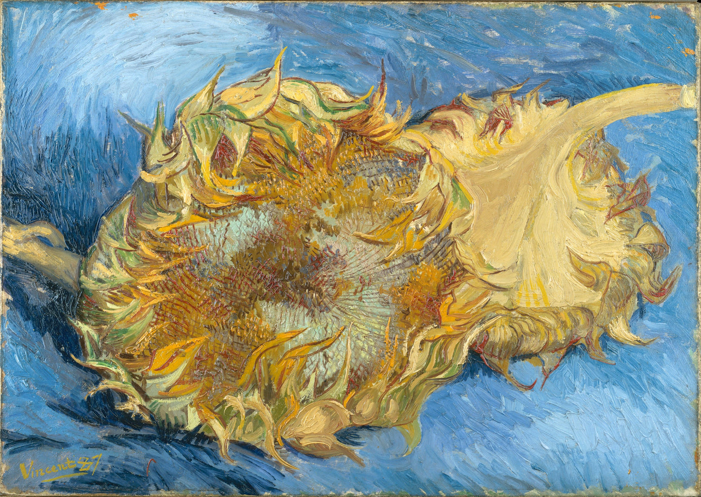 Still Life with Two Sunflowers, 1887