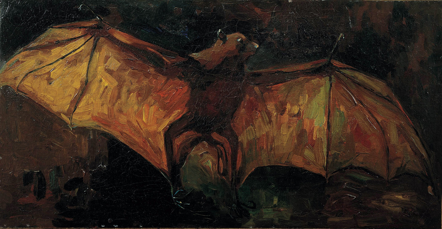 Stuffed Bat, 1886