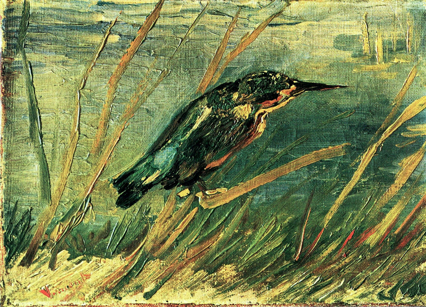 The Kingfisher, 1886