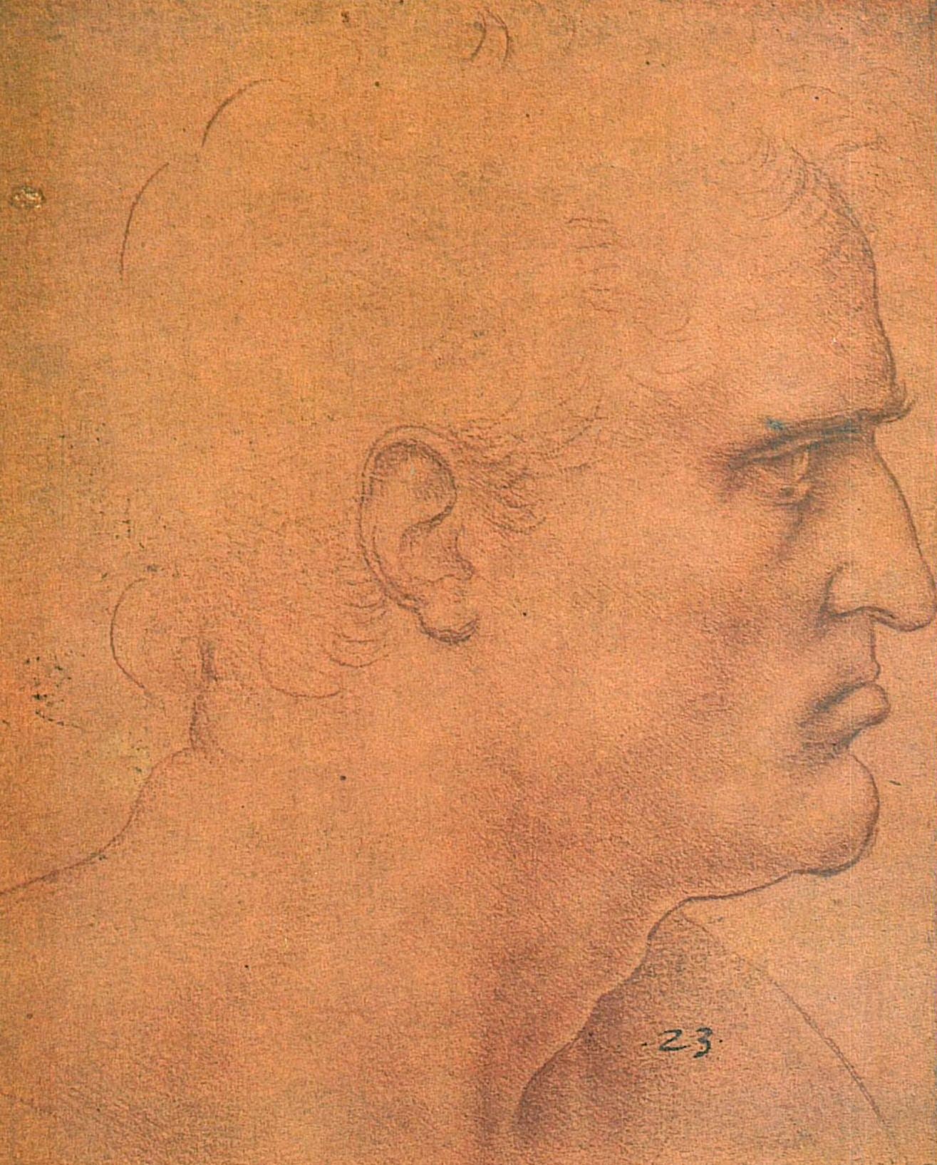 Leonardo Da Vinci 76