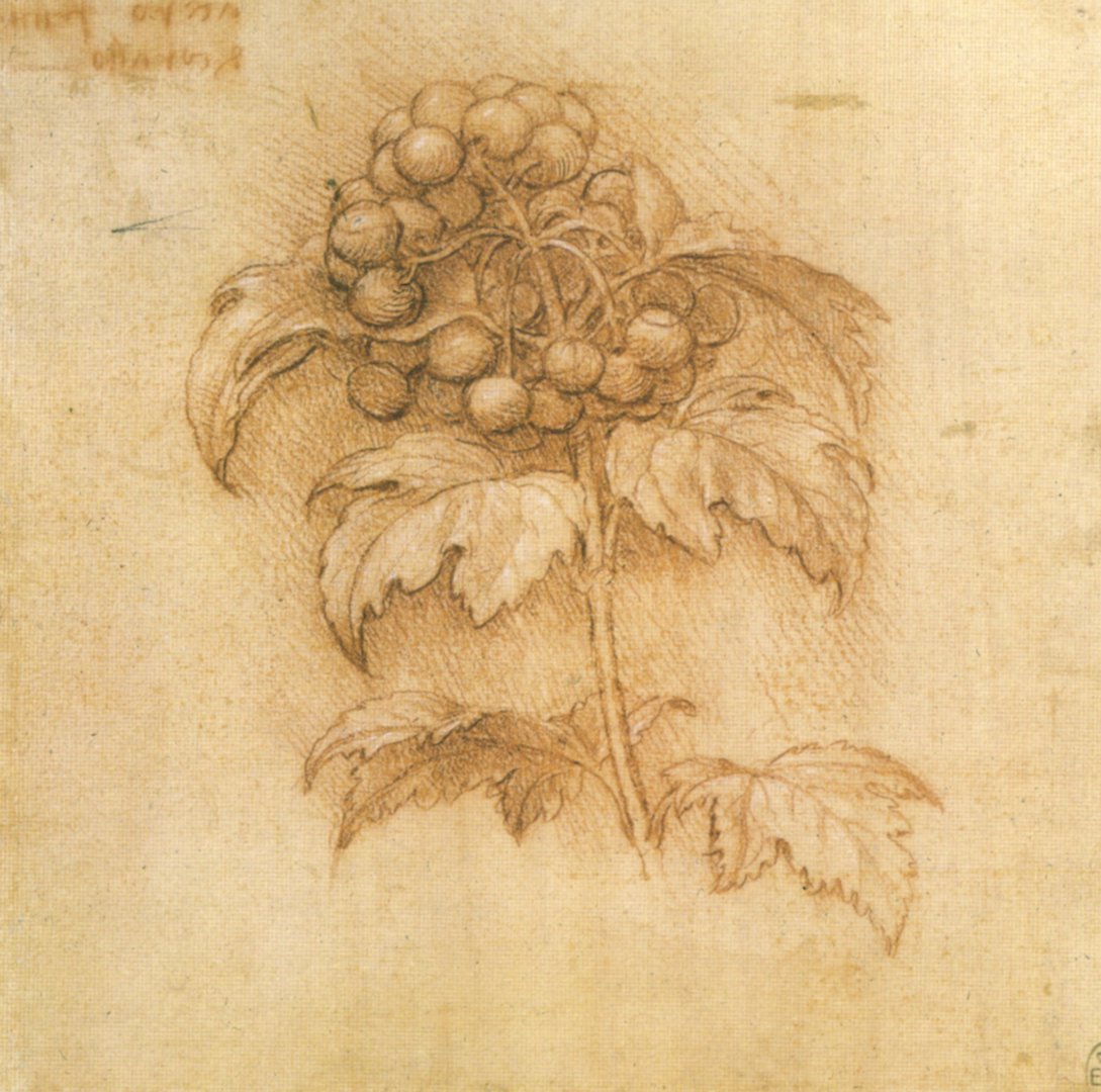 Leonardo Da Vinci 77