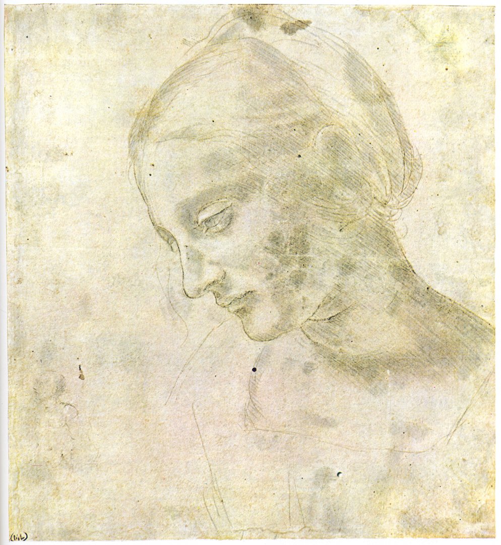 Study of a woman's head