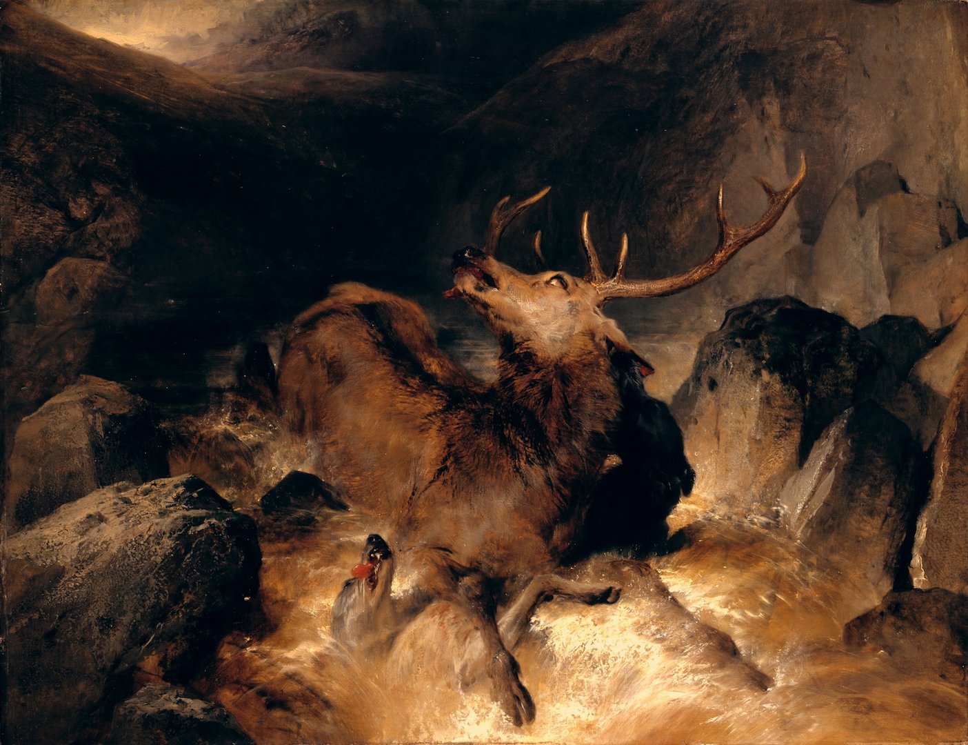 Sir Edwin Henry Landseer - Deer and Deer Hounds in a Mountain Torrent, Tate Britain