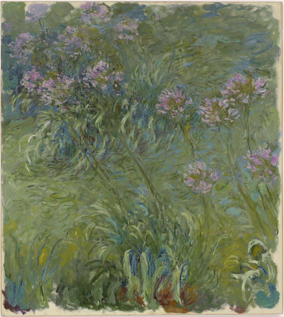 Claude Monet - Agapanthus